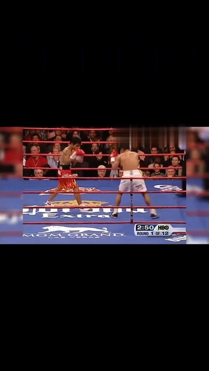 精彩回放的意思