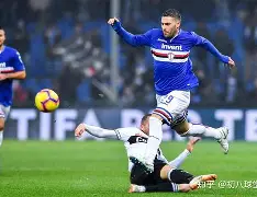 奥运健儿们赛场拼搏精神的启示是什么